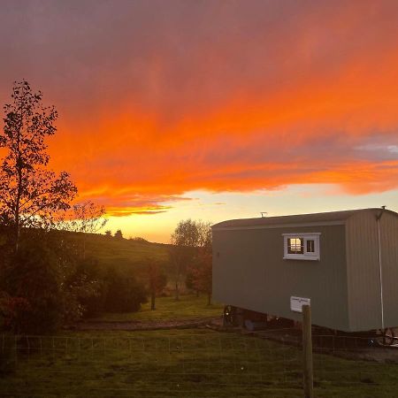 The Buteland Stop Rosie Off Grid Shepherds Hut Bellingham Exterior foto