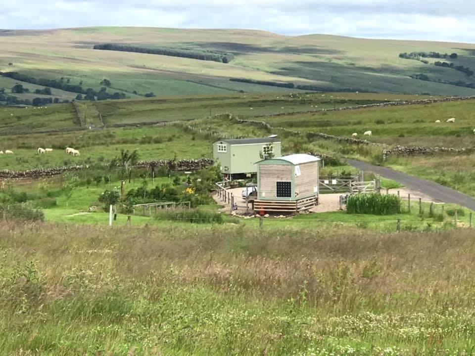 The Buteland Stop Rosie Off Grid Shepherds Hut Bellingham Exterior foto