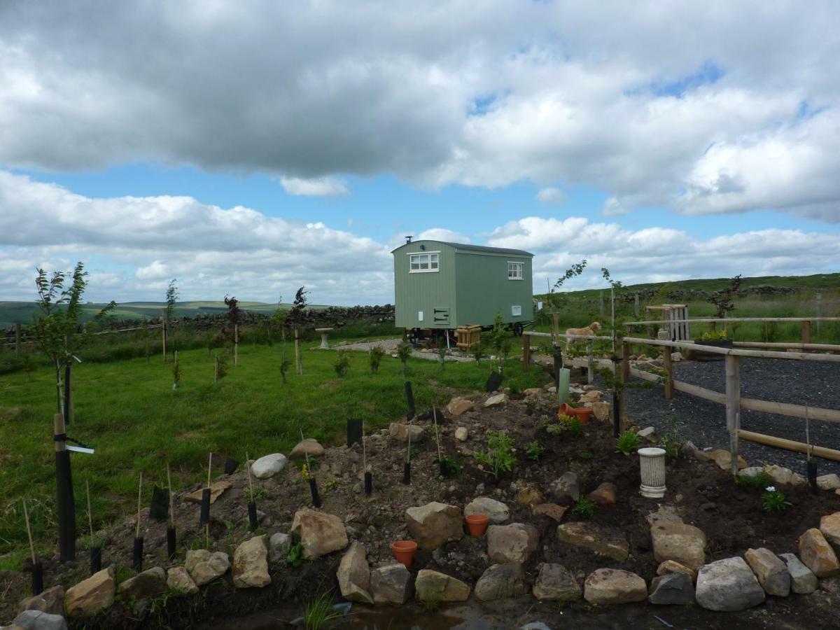 The Buteland Stop Rosie Off Grid Shepherds Hut Bellingham Exterior foto