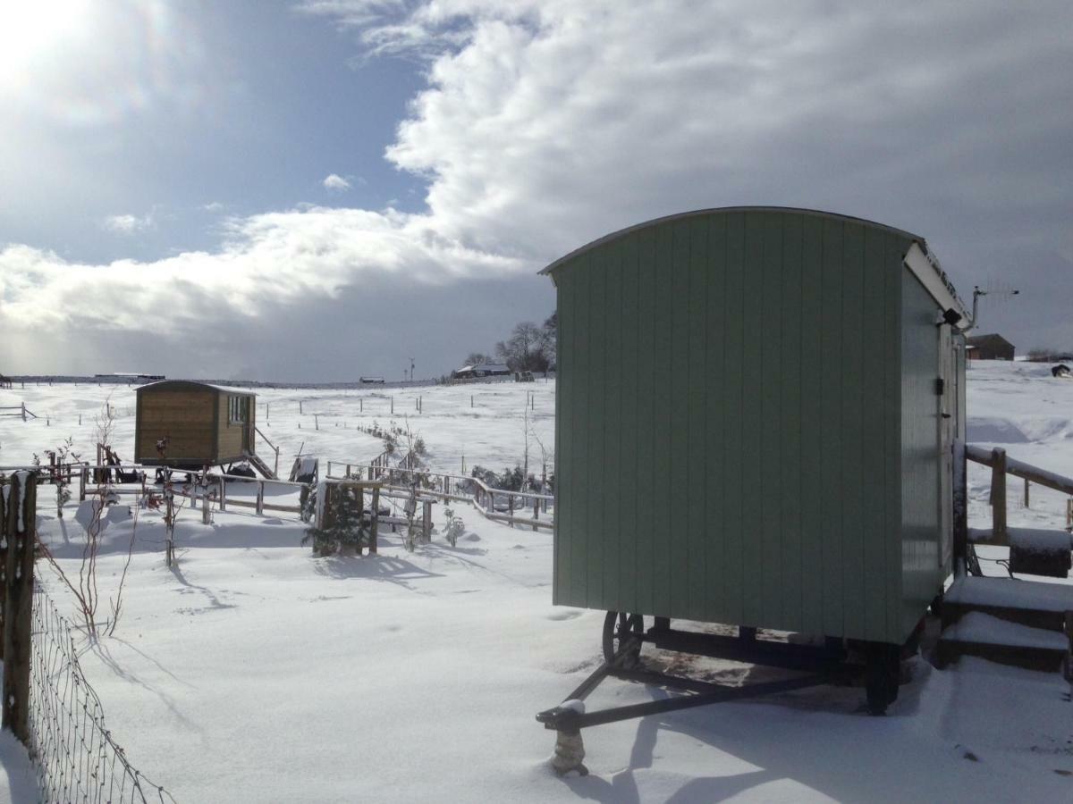 The Buteland Stop Rosie Off Grid Shepherds Hut Bellingham Exterior foto