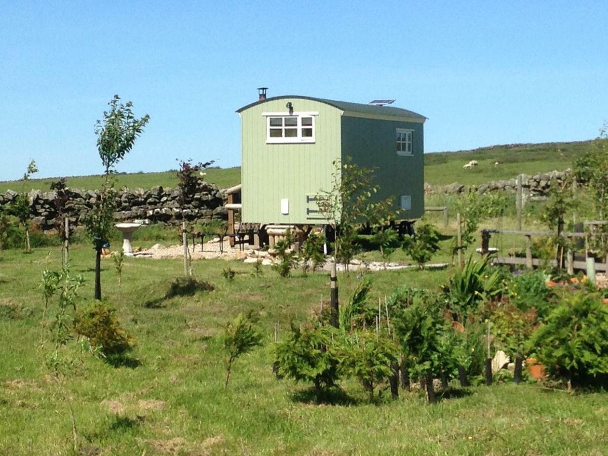 The Buteland Stop Rosie Off Grid Shepherds Hut Bellingham Exterior foto